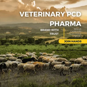 List of Top 10 Veterinary PCD Companies in India