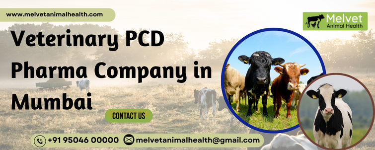 Veterinary PCD Pharma Company in Mumbai