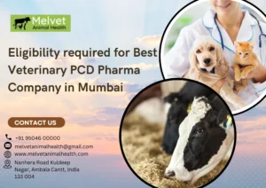 Best Veterinary PCD Pharma Company in Mumbai